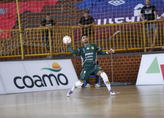 Elismar Fotografias