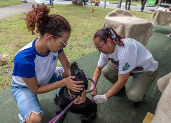 Vacinação Antirrábica Guararema
