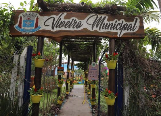 Viveiro Municipal de Suzano
